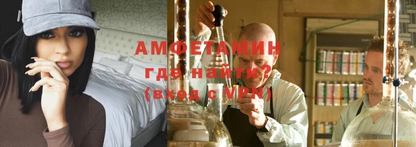 сатива Ельня