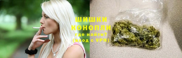 сатива Ельня