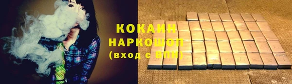 сатива Ельня