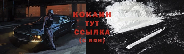 ГАЛЛЮЦИНОГЕННЫЕ ГРИБЫ Елизово