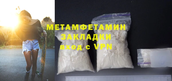 сатива Ельня