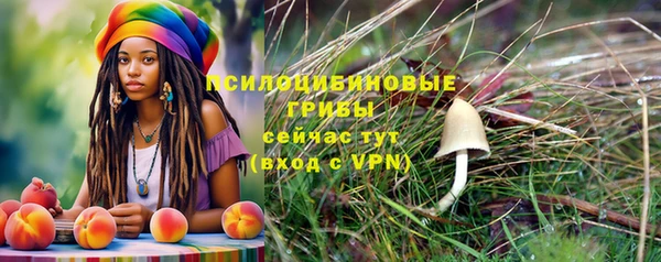 сатива Ельня