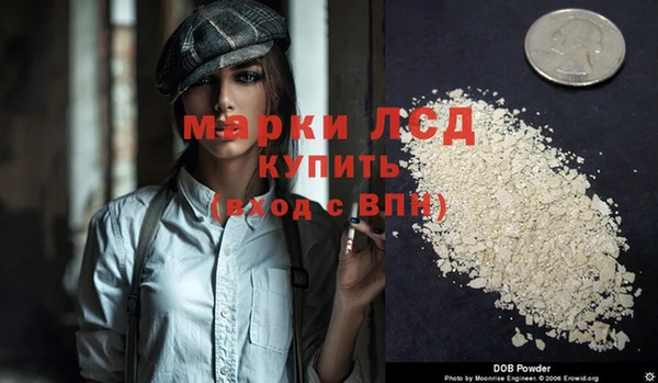 сатива Ельня