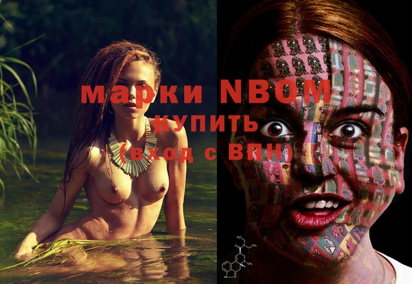 сатива Ельня