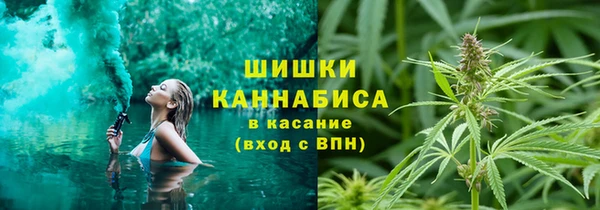 ГАЛЛЮЦИНОГЕННЫЕ ГРИБЫ Елизово