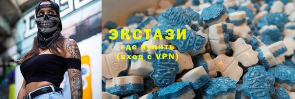 сатива Ельня