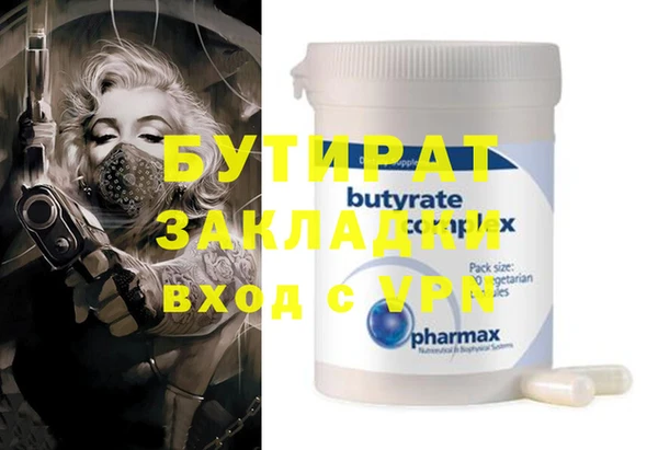 сатива Ельня