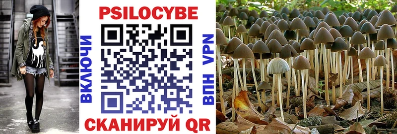 Купить закладки  Инза  Галлюциногенные грибы GOLDEN TEACHER 