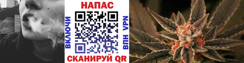 Каннабис SATIVA & INDICA  Купить где  Инза 